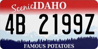 ID license plate 4B2199Z