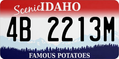 ID license plate 4B2213M