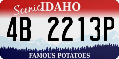 ID license plate 4B2213P