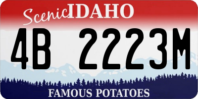 ID license plate 4B2223M