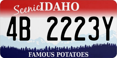 ID license plate 4B2223Y