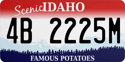 ID license plate 4B2225M