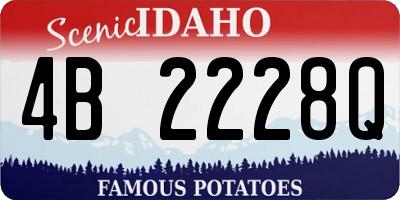 ID license plate 4B2228Q