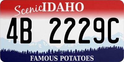 ID license plate 4B2229C