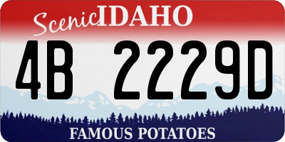 ID license plate 4B2229D