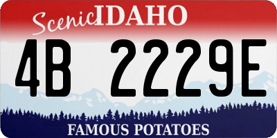 ID license plate 4B2229E