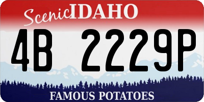 ID license plate 4B2229P