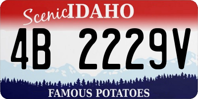 ID license plate 4B2229V