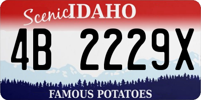 ID license plate 4B2229X
