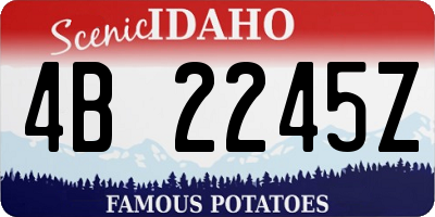 ID license plate 4B2245Z