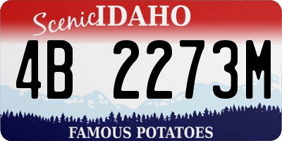 ID license plate 4B2273M