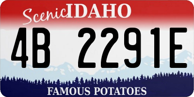 ID license plate 4B2291E