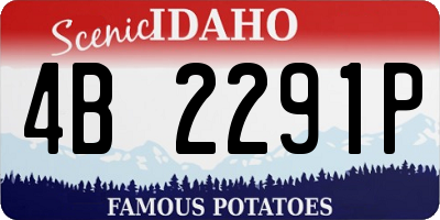 ID license plate 4B2291P