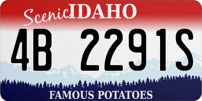 ID license plate 4B2291S