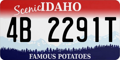 ID license plate 4B2291T