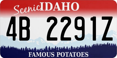 ID license plate 4B2291Z