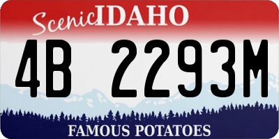 ID license plate 4B2293M