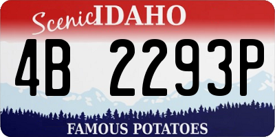 ID license plate 4B2293P