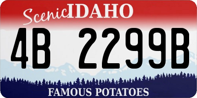 ID license plate 4B2299B