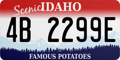 ID license plate 4B2299E