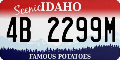 ID license plate 4B2299M