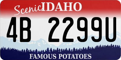 ID license plate 4B2299U