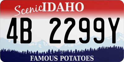 ID license plate 4B2299Y