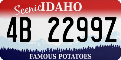 ID license plate 4B2299Z