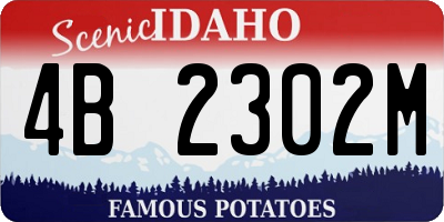 ID license plate 4B2302M