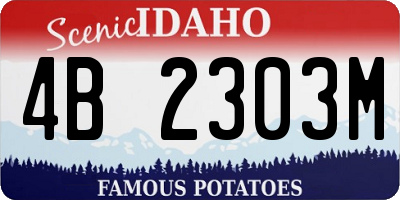 ID license plate 4B2303M