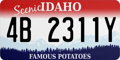 ID license plate 4B2311Y