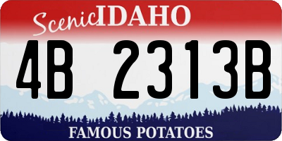 ID license plate 4B2313B