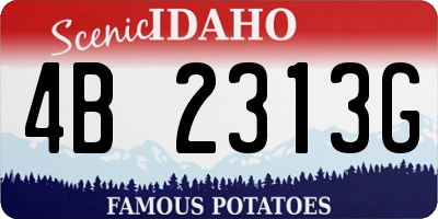 ID license plate 4B2313G