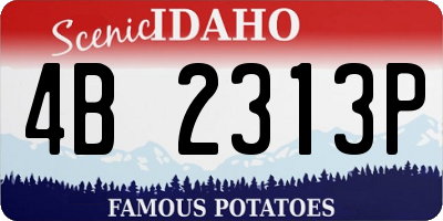 ID license plate 4B2313P