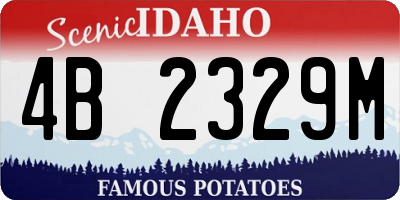 ID license plate 4B2329M