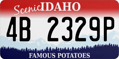 ID license plate 4B2329P