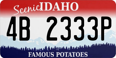 ID license plate 4B2333P