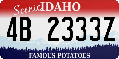 ID license plate 4B2333Z