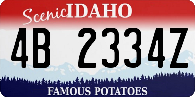 ID license plate 4B2334Z