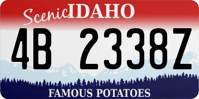 ID license plate 4B2338Z