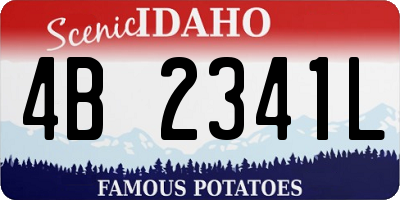 ID license plate 4B2341L