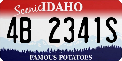 ID license plate 4B2341S