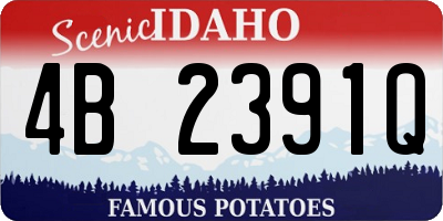 ID license plate 4B2391Q