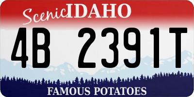 ID license plate 4B2391T