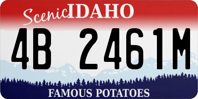 ID license plate 4B2461M