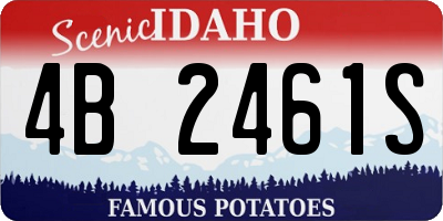 ID license plate 4B2461S