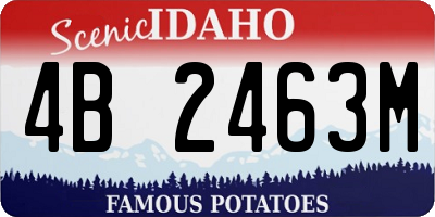 ID license plate 4B2463M