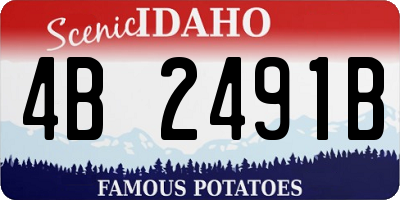 ID license plate 4B2491B