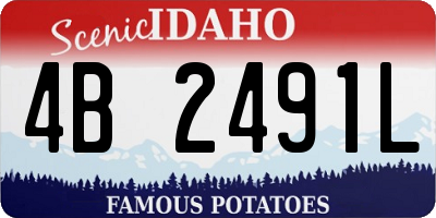 ID license plate 4B2491L