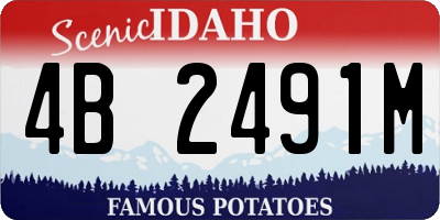 ID license plate 4B2491M